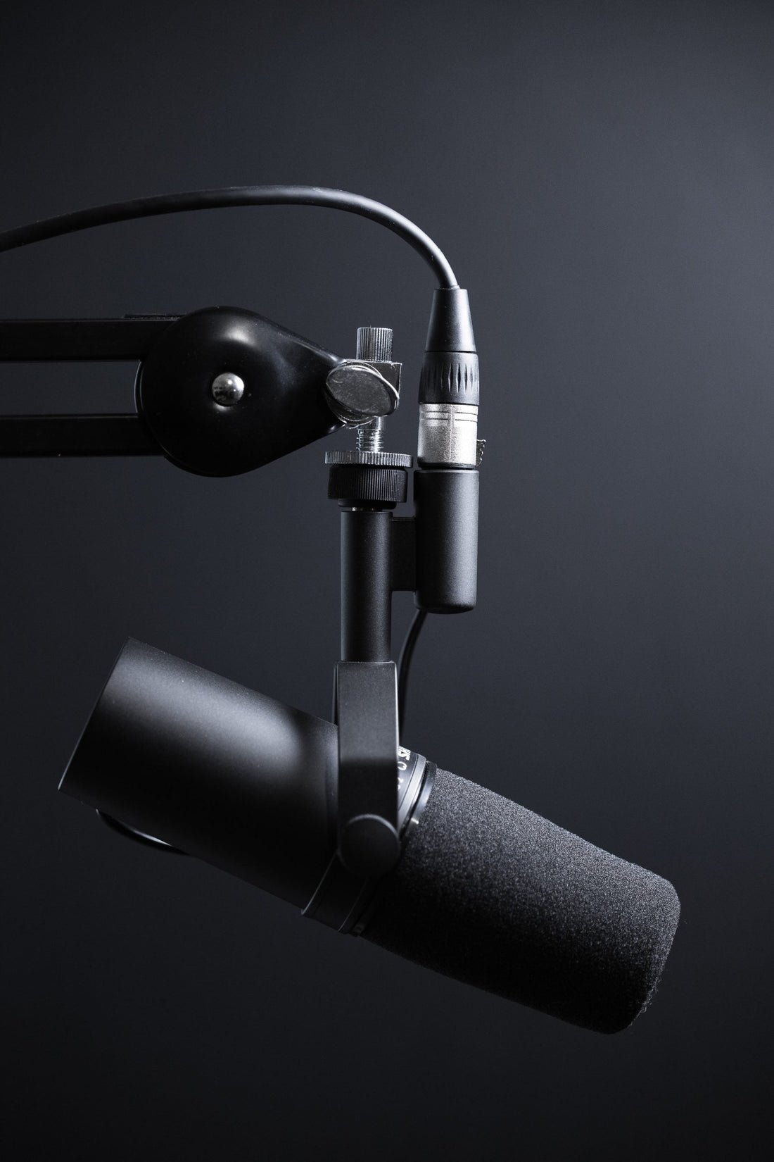 What Are Vocal Presets? A Comprehensive Guide