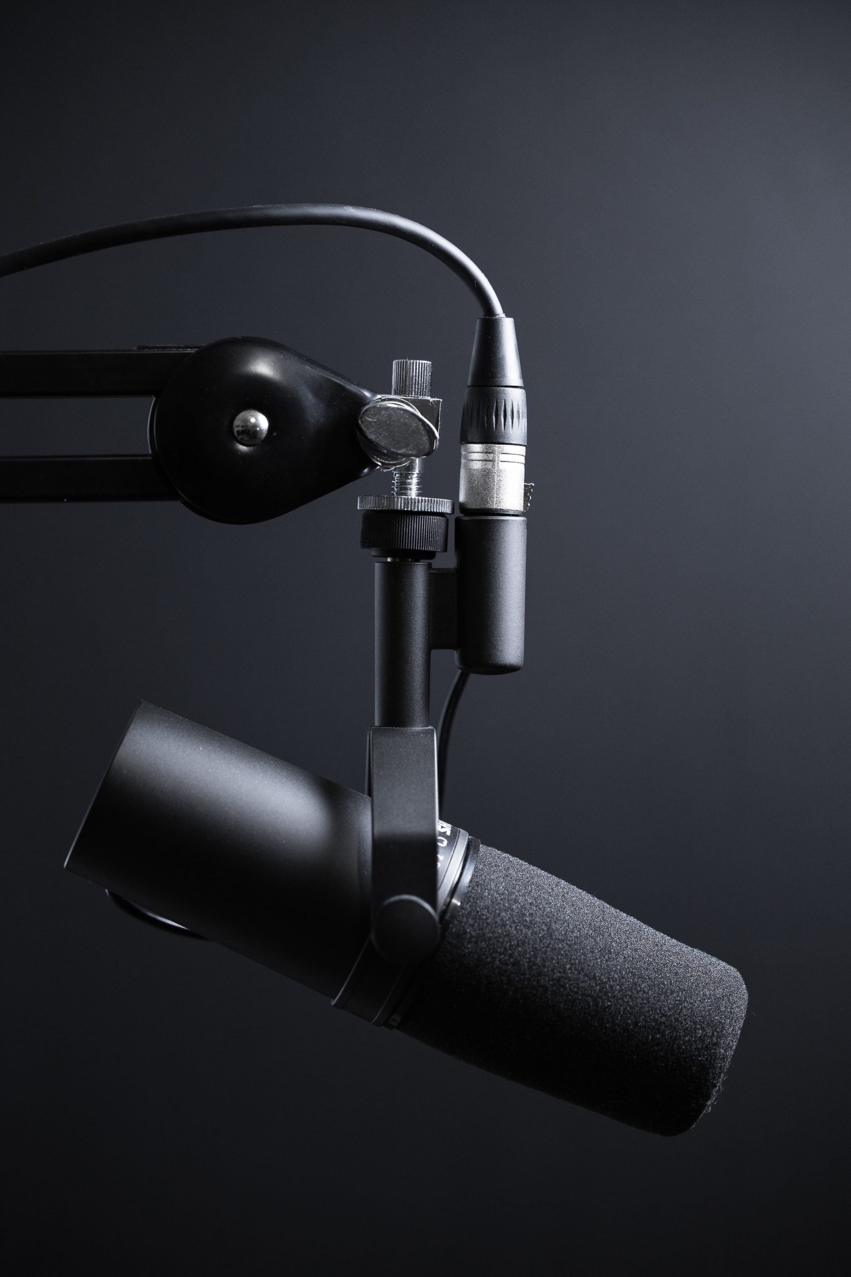 What Are Vocal Presets? A Comprehensive Guide